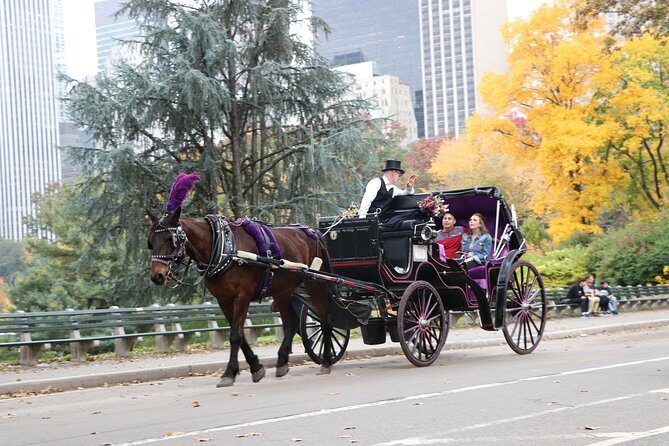 Horse Carriage Ride to/from Tavern On The Green (Up to 4 Adults) - The Sum Up