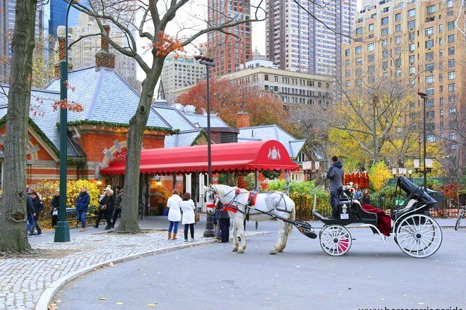 Horse Carriage Tour in New York City's Central Park Small Loop - Practical details and tips