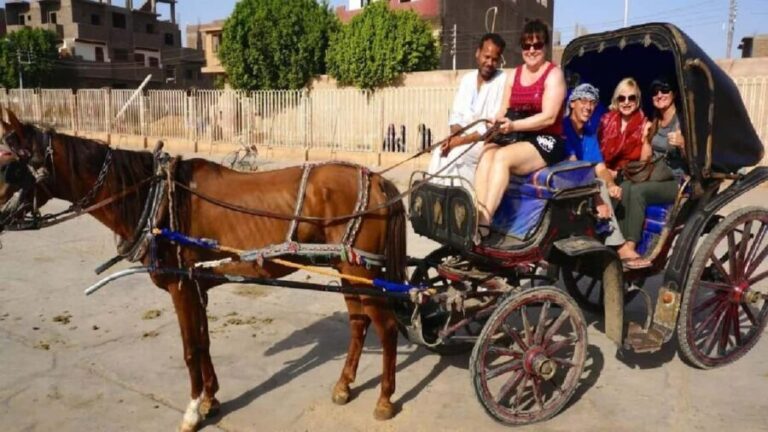 Horse-Drawn Carriage City Tour from West Bank - Why This Tour Offers Good Value