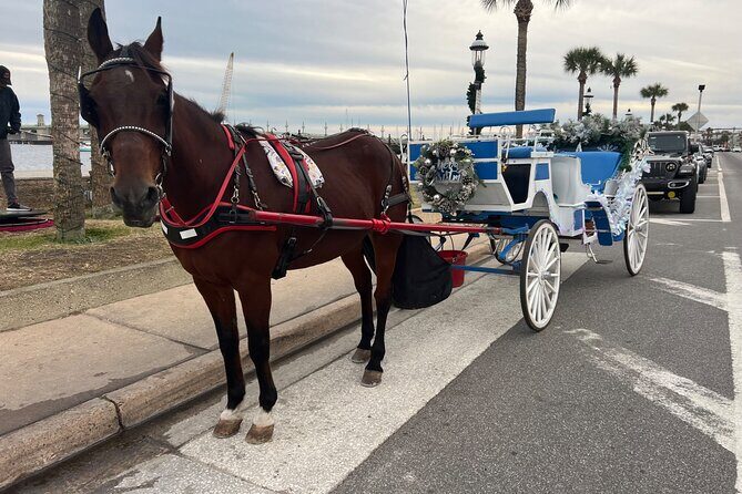 Horse-Drawn Carriage Tour of St Augustine - The Sum Up