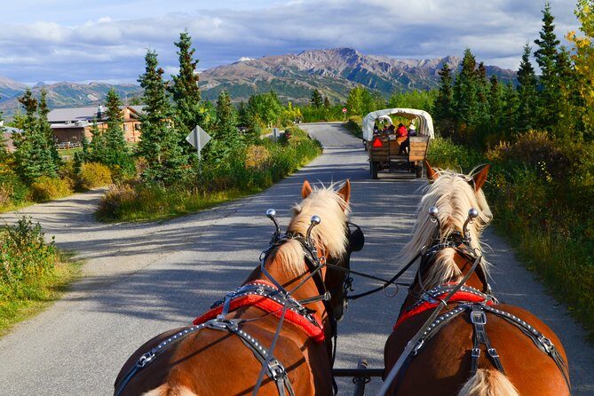 Horse-Drawn Covered Wagon Ride with Backcountry Dining - The Backcountry Meal: A Heartwarming Finish