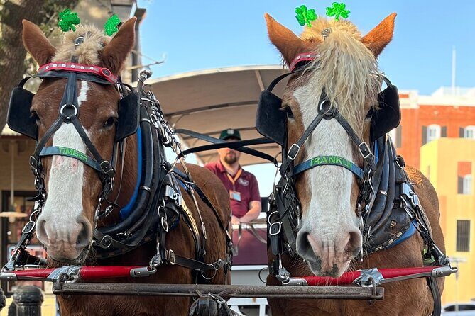 Horse Drawn Daytime Group Narrated Historic Overview Tour - The Sum Up: Who Should Consider This Tour?