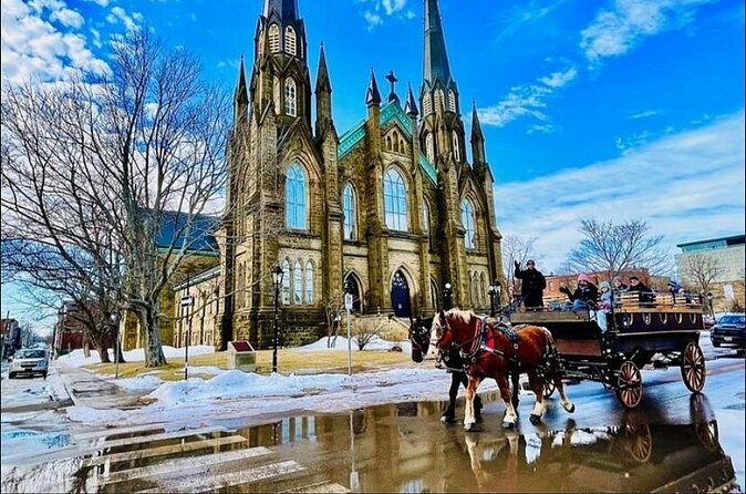 Horse Drawn Historical Guided Tour - Final Thoughts