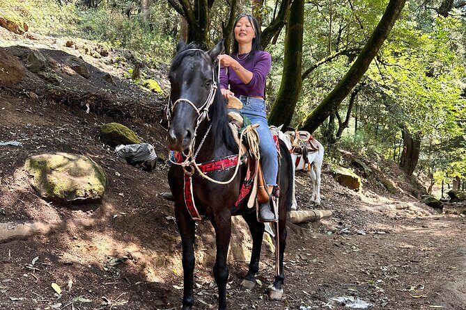 Horse experience with my family - What the Reviews Tell Us
