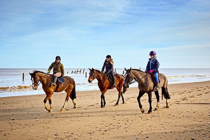 Horse Ride in Taghazout or Agadir - The Value and Practicalities