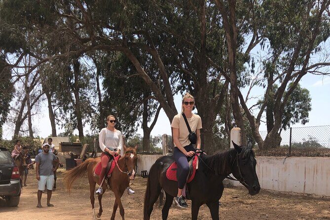 Horse Riding Agadir - Itinerary Breakdown: What to Expect