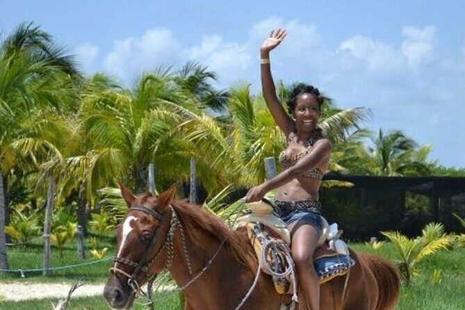 Horse Riding in Miami's Countryside - A Detailed Look at the Horseback Riding Experience in Miamis Countryside