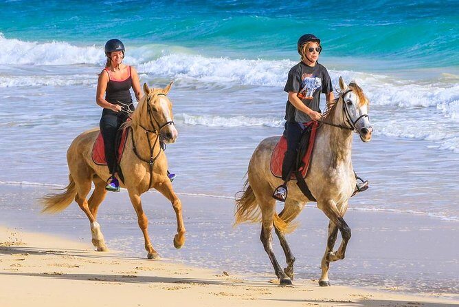 Horse Riding in Sal Island - Cabo Verde - Authentic Experiences and Real Opinions