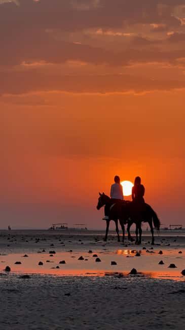 Horse Riding Muscat | Beach Horse Riding - What to Expect During Your Horseback Ride
