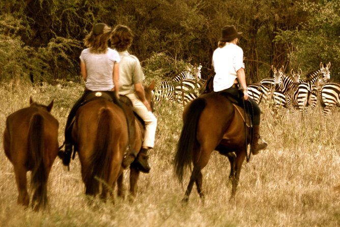 Horse safaris in Tanzania - The Practicalities