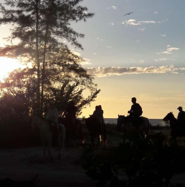 Horseback Adventure in Holbox - Authentic Experiences and Traveler Feedback