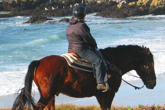 Horseback Ride & Alcatraz Prison Tickets - The Itinerary Breakdown: What You Can Expect