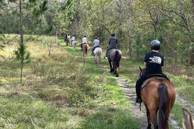 Horseback Ride on Scenic Lake Louisa Trails - Practicalities and Tips for Travelers