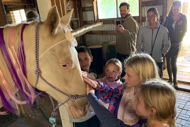 Horseback Rides, Interactions, and Petting Zoo - In-Depth Breakdown of the Experience