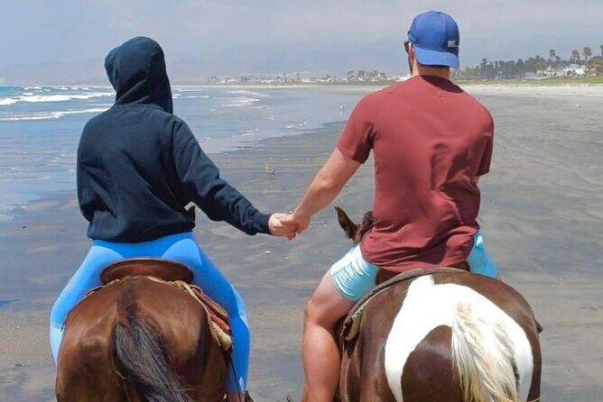 Horseback Riding And a Visit to La Bufadora Ensenada - Why This Tour Is a Good Value