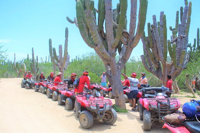 Horseback Riding & ATV Combo! Mountain Trails & Beautiful Beaches of BAJA! - What Travelers Say