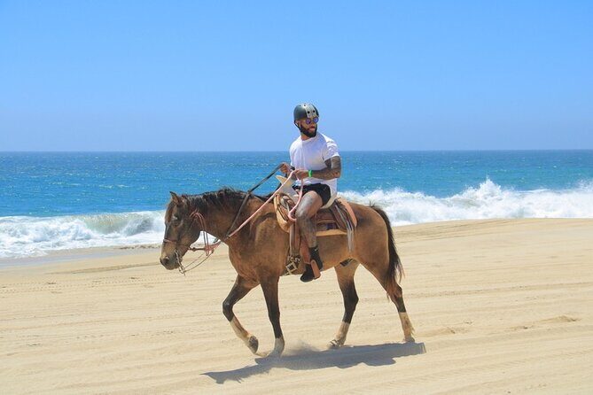 Horseback Riding Beach and Desert Adventure - A Thorough Look at the Horseback Riding Beach and Desert Adventure