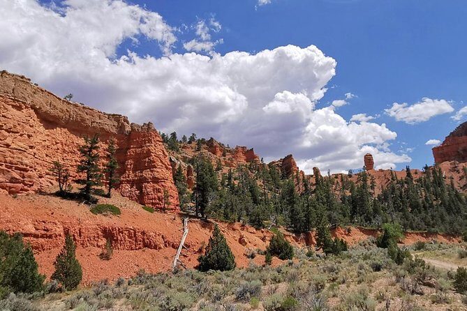 Horseback Riding Experience through Red Canyon with a Guide - Authentic Stories and Real Experiences