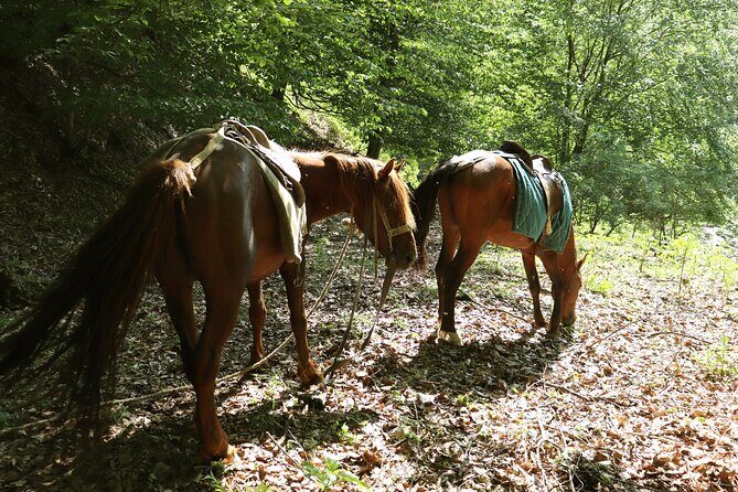 Horseback Riding in Azerbaijan - Why This Tour Is a Strong Choice