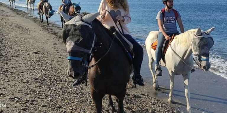 Horseback riding in Boavista for beginners - Practical Tips for Your Horseback Riding Tour