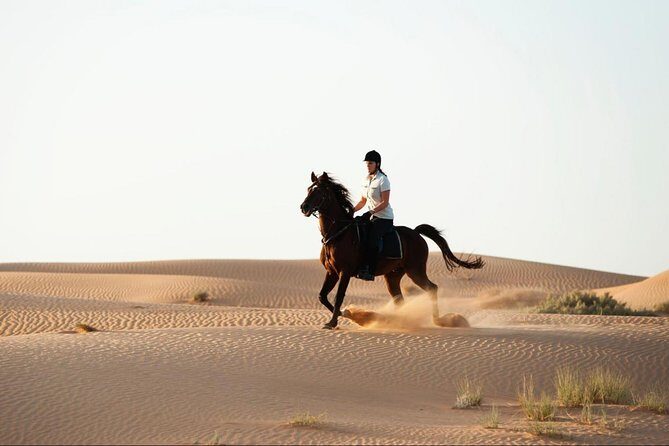 Horseback Riding in Dubai Desert with Transfers - Price and Value Considerations