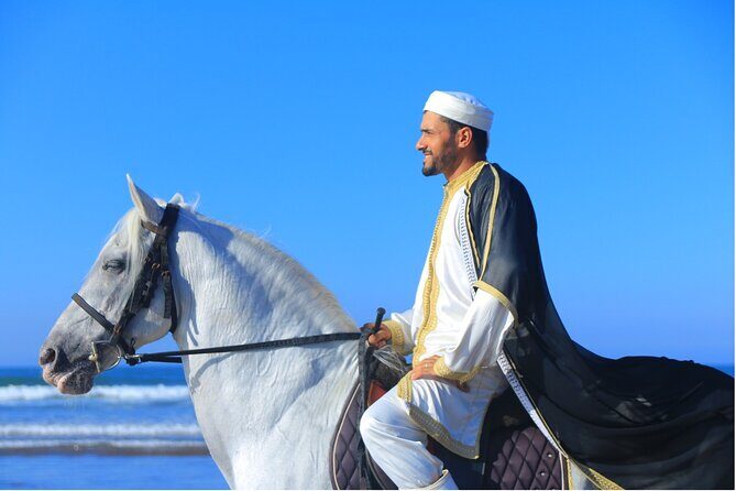 Horseback riding in Haouzia - Why This Horseback Ride Is Worth the Price
