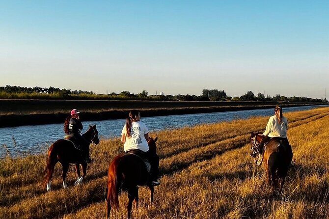 Horseback Riding in Miami - Final Thoughts: Is It Worth It?