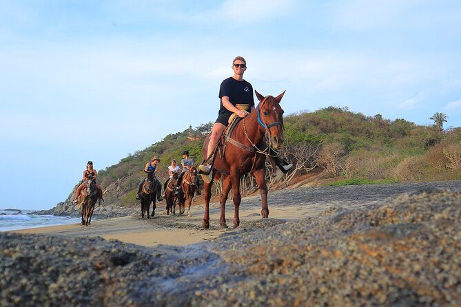 Horseback Riding in Sayulita - Authentic Experiences and Travelers’ Feedback