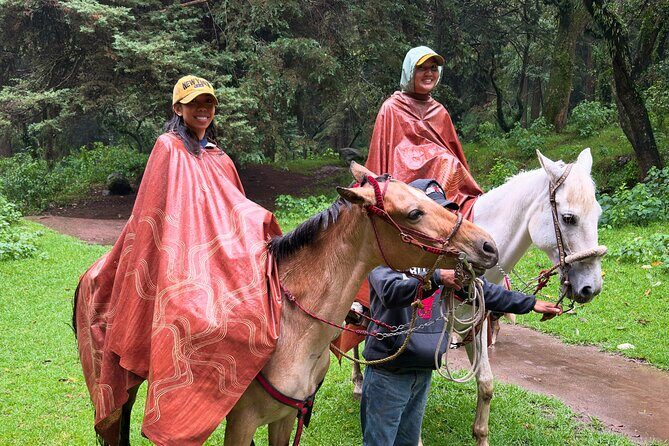 Horseback Riding in the Forest and Breakfast in Cabin - The Itinerary: What You Can Expect