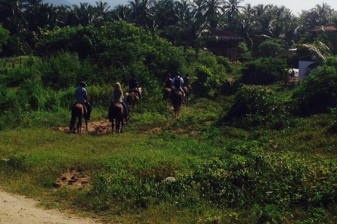 Horseback Riding on the Beach - An Overview of the Experience