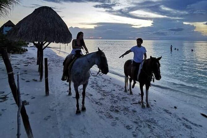 Horseback Riding on the Beaches of Holbox - FAQ