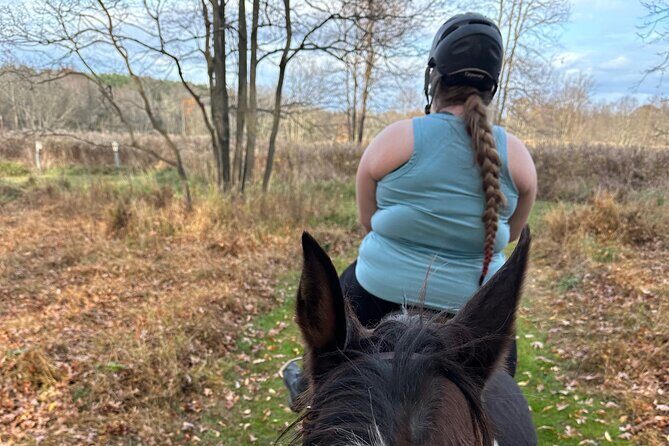 Horseback Riding Through Scenic Park in Brookeville - Key Points