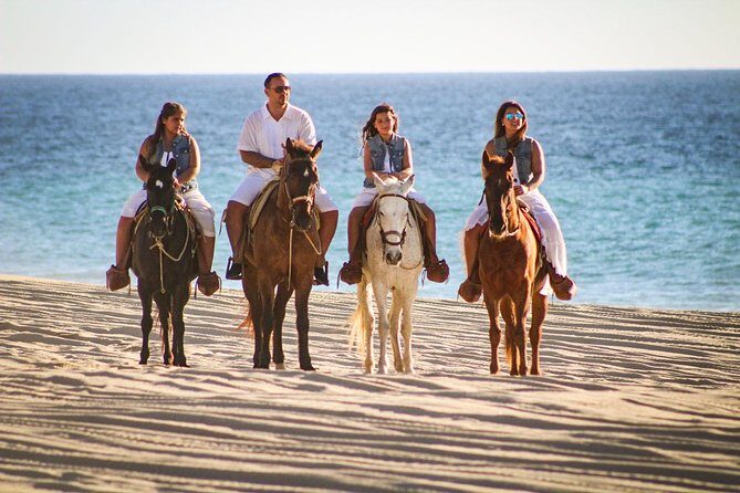 Horseback Riding Tour in Los Cabos - What to Expect During the Itinerary