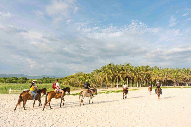Horseback Riding Tour on the Beach in Puerto Escondido - What Past Travelers Say