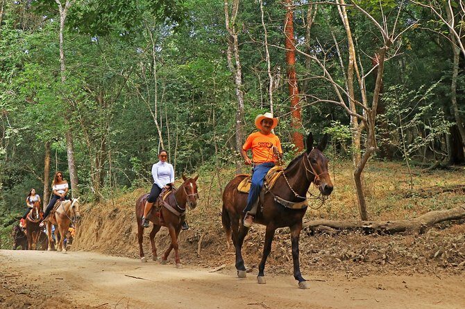 Horseback Riding Tour - The Tequila Tasting: A Taste of Local Culture