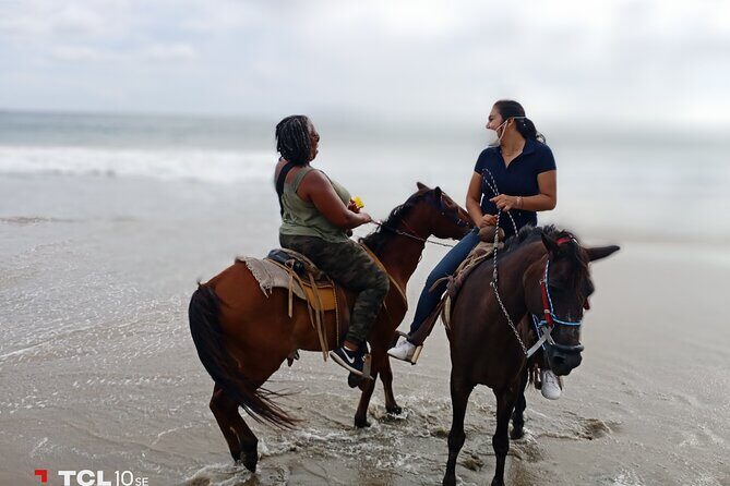 Horseback Riding Zihuatanejo - The Reality: Drawbacks and Caveats