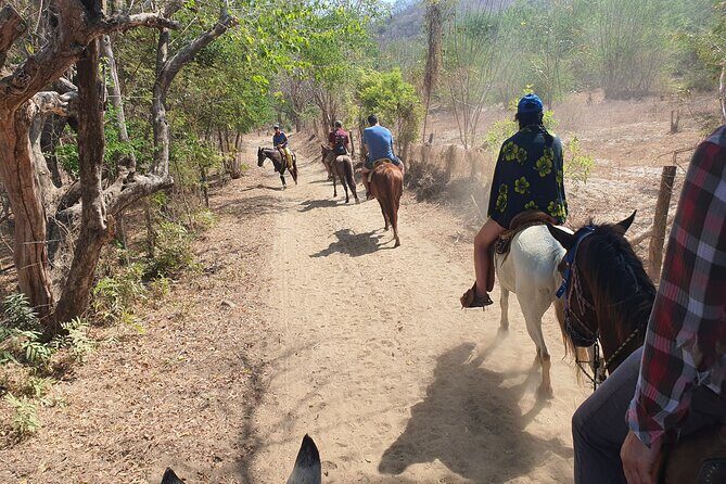 Horses on The Beach or Hot Springs - Who Will Love This Tour?