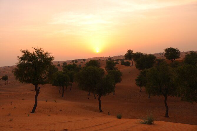 Hot Air Balloon Adventure Ride in Dubai with Hotel Pick up & drop - Transportation and Group Size