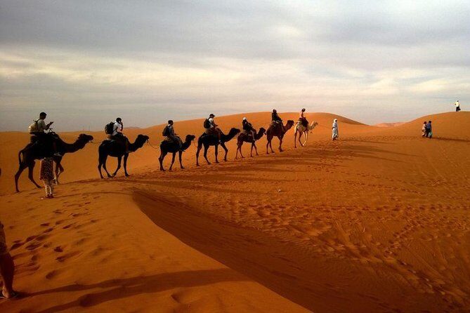 Hot Air Balloon Premium ,Camel Horse Ride,Dune Bashing ,Quad Bike - The Logistics: How It All Comes Together