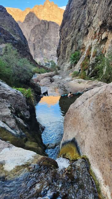 Hot Springs Hike at Goldstrike Canyon Six Steamy Waterfall - The Experience: What Travelers Say