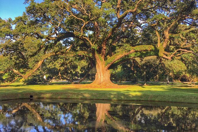 Houmas House Plantation Guided Tour - Who Will Love This Tour?