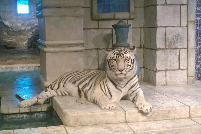 Houston City Tour and Downtown Aquarium All Rides Pass - Who Would Love This Tour?