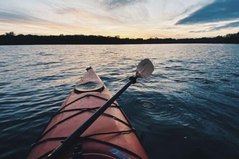 Houston: Kayak and Paddleboard Rental - The Experience and Sights
