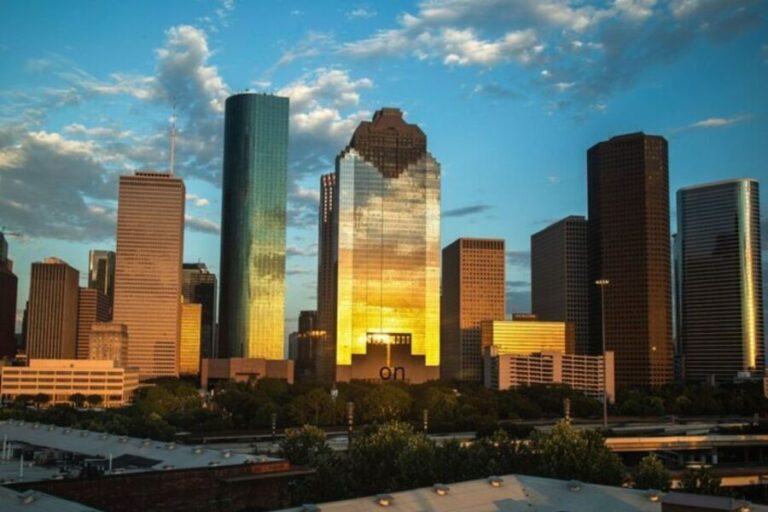 Houston: Private custom tour with a local guide - What Makes This Tour Stand Out
