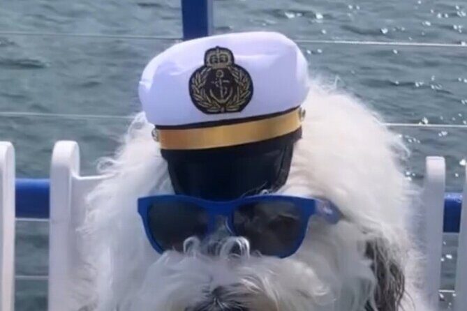 Howl O Ween Doggy Costume Party Cruise - The Vibe: Music, Prizes, and a Casual Festivity