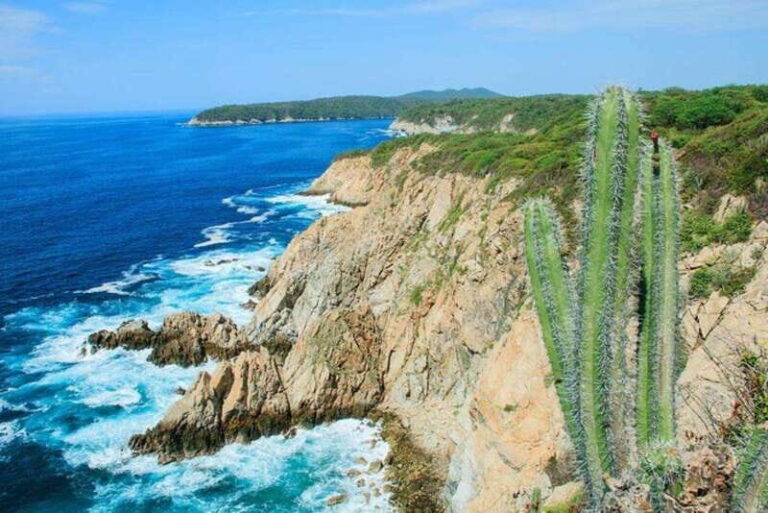 Huatulco: 5-Bay Exclusive Premium Panga Experience - What Makes the Experience Special?