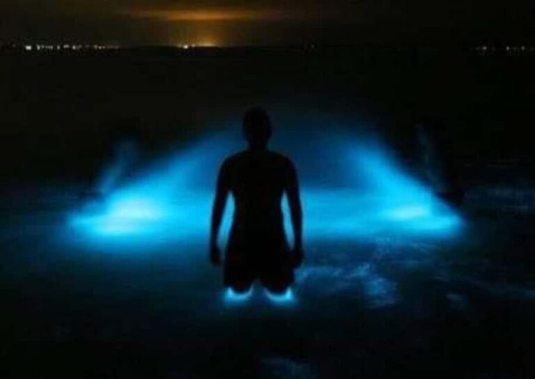 Huatulco: Bio and Liberation Tour - Who Will Love This Tour?