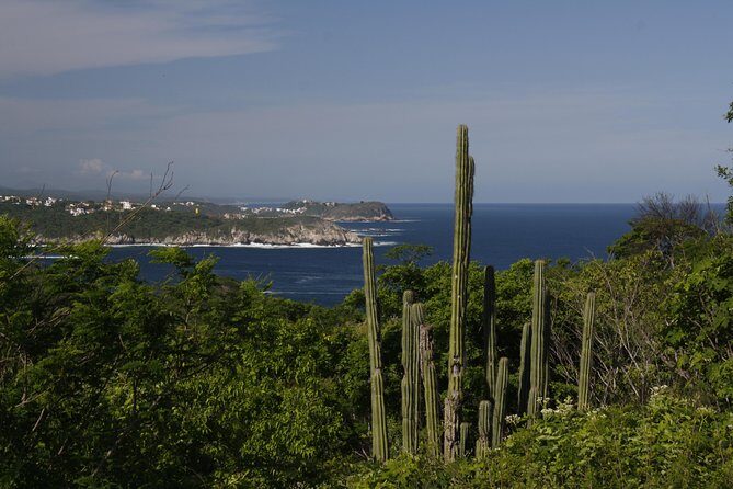 Huatulco City Tour - Transportation & Group Dynamics