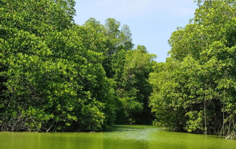Huatulco: Laguna de Chacahua Exploration - Analyzing Value and Practicalities