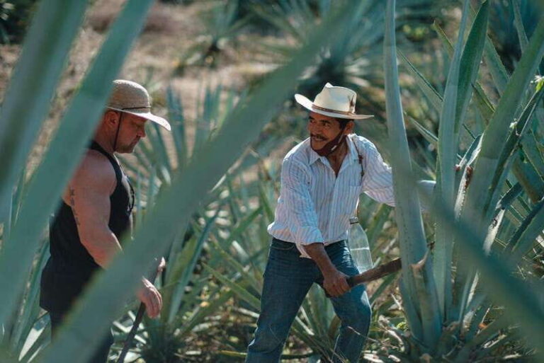 Huatulco: Mezcal and Gastronomic Tour - The Gastronomic Meal